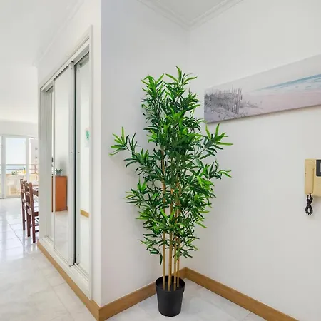 Apartamento Dreamstudio With Seaview By Encantos Do Algarve - 7h *