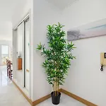 Apartamento Dreamstudio With Seaview By Encantos Do Algarve - 7h *